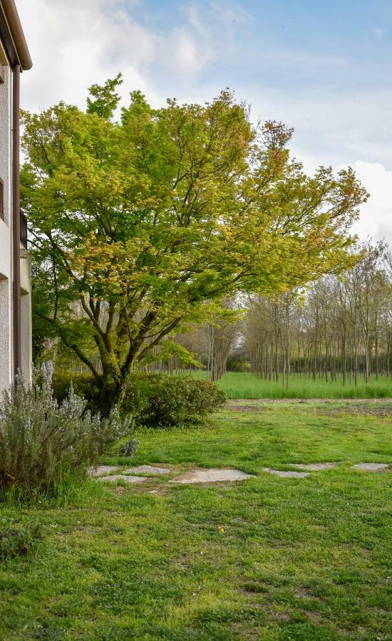 B&B Villa Elisa Motta di Livenza Zewnętrze zdjęcie